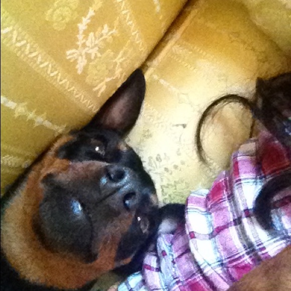 Meet your Posher, Karel - Picture 1 of 1